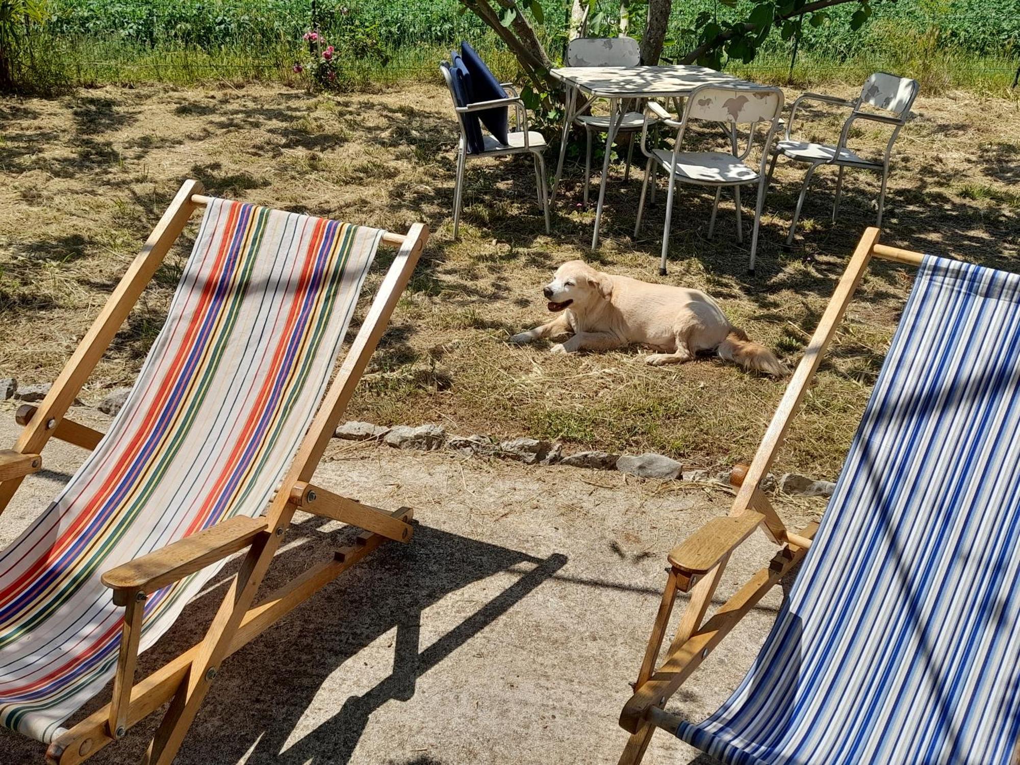 Rustic Holiday Home Miketa Lukoran エクステリア 写真